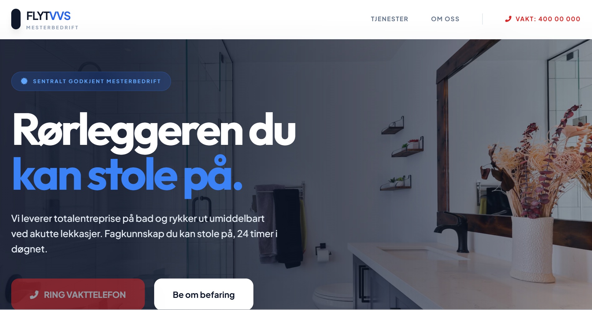 Skjermbilde av profesjonell rørlegger nettside demo